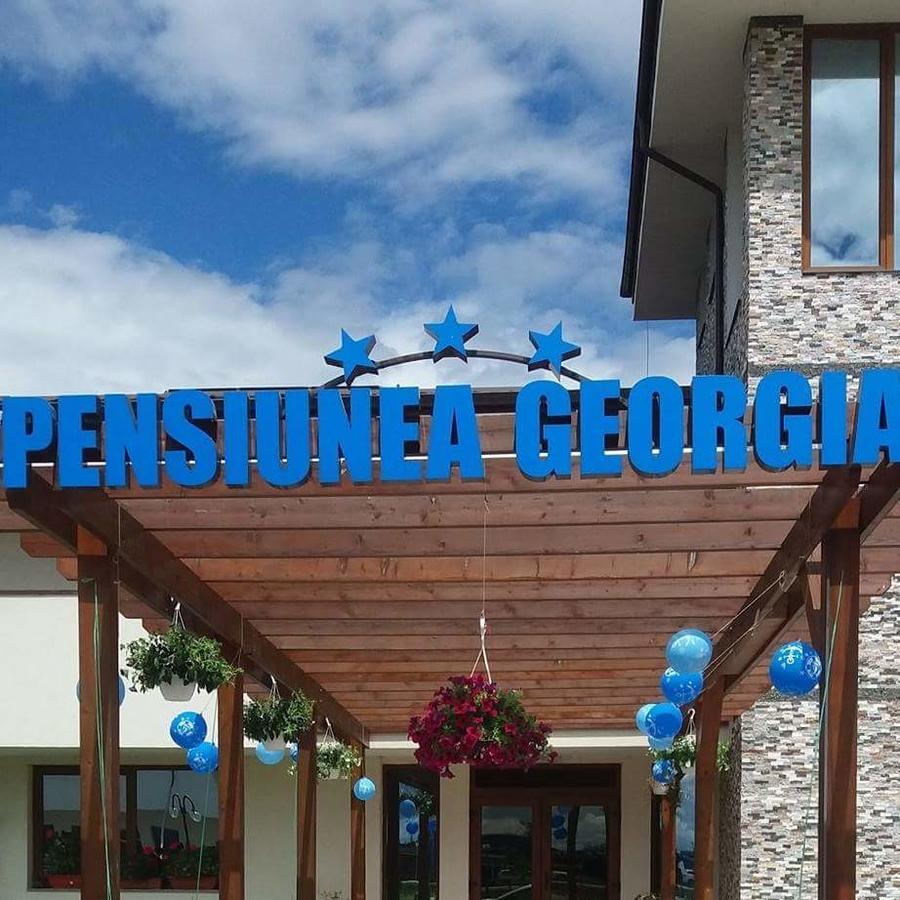 Pensiunea Georgia Lunguleţul Exterior photo